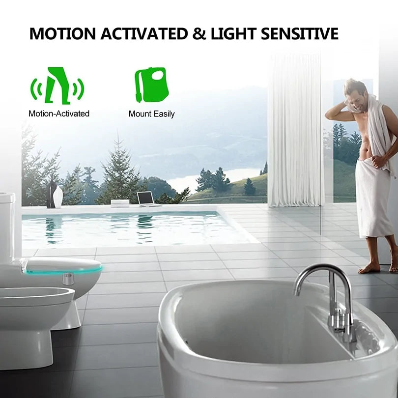 LED Toilet Night Light