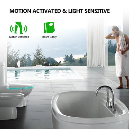 LED Toilet Night Light